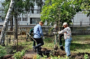 Посадочный материал: мэрские озеленители, которым доверили Городской парк Саратова, сажали не то, что должны были и поставили деревья в областном центре под угрозу уничтожения
