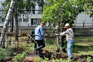 Посадочный материал: мэрские озеленители, которым доверили Городской парк Саратова, сажали не то, что должны были и поставили деревья в областном центре под угрозу уничтожения