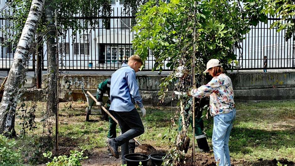 Посадочный материал: мэрские озеленители, которым доверили Городской парк Саратова, сажали не то, что должны были и поставили деревья в областном центре под угрозу уничтожения