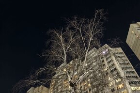 В Саратовской области снова воют сирены