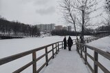 После оттепели парк «Семхоз» превратился в опасный ледяной ад (ранее его заполонили крысы)