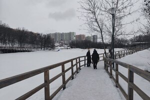 После оттепели парк «Семхоз» превратился в «ледяную сказку» для травматолога (ранее его заполонили крысы)