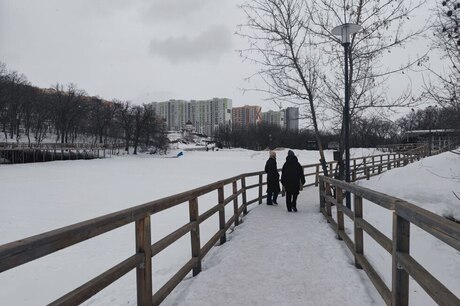 После оттепели парк «Семхоз» превратился в «ледяную сказку» для травматолога (ранее его заполонили крысы)