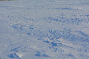 В одном из районов области определились с датой запрета выхода на лёд