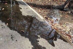 У саратовского Музея боевой славы хотят отсудить 106 тысяч за сброс загрязняющих веществ в сточные воды