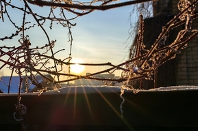 До -14 ночью и до +7 днем: рассказываем, какая погода ждет жителей Саратовской области в начале недели