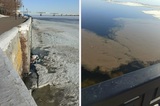 Саратовчанка обратила внимание на странные пятна на Волге возле набережной