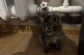 Тысячи горожан до завтрашнего дня остались без горячей воды и отопления: адреса