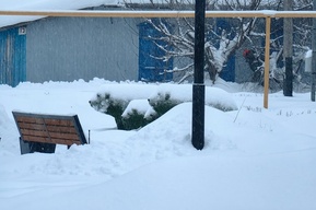 В Саратове сделают семь новых мини-скверов: где и когда они появятся