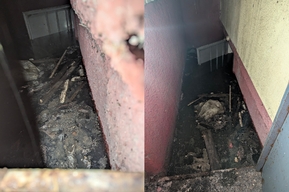 «Ситуация критическая»: в Ленинском районе год затапливает канализацией подвалы подъездов дома