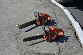 Из-за очередного сноса деревьев в Саратове закрыли троллейбусный маршрут 