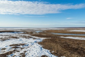 Балаковскую компанию лишили прав на 33 автомобиля из-за невнимания к командировке слесаря на Ямал