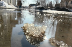 В Саратовской области потеплеет до +15 градусов, в середине недели пройдут дожди