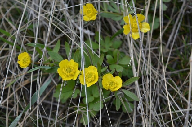В Саратовской области в выходные воздух прогреется до плюс 19 градусов