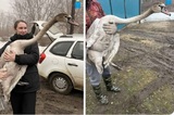 В селе Антоновка Жорик не мог взлетать: ветеринары рассказали, как спасали лебедя