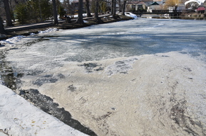 Вспенившийся пруд, попиленные деревья, распадающаяся на части дамба и подозрительные ларьки: как выглядит Горпарк Саратова через 8 месяцев управления городскими властями (много фото)