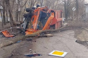 В Саратове мусоровоз врезался в дерево и перевернулся