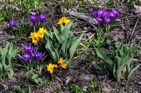 В Саратовской области потеплеет до +19