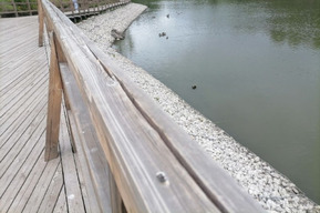 Горожане рассказали о неработающем туалете и трещинах на поручне в парке «Семхоз» (мэр, побывавший там накануне, на это внимание не обратил)