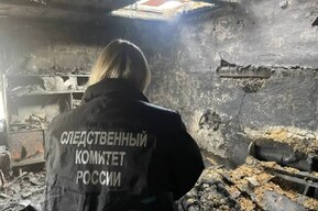 После тушения пожара в частном доме огнеборцы нашли трупы двух мужчин
