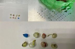 Молодому осуждённому принесли конфеты с наркотиками (вычислить это помогла собака)