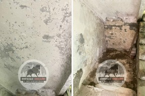 «По всему городу так»: жители Энгельса пожаловались на насекомых, досаждающих им круглый год из-за коммунальных проблем