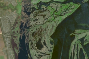 Кассационный суд подтвердил незаконность создания в регионе заказника, поглотившего охотугодье бывшего депутата гордумы