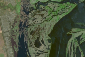 Кассационный суд подтвердил незаконность создания в регионе заказника, поглотившего охотугодье бывшего депутата гордумы