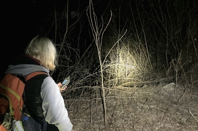 «Прошло уже более 90 часов со времени захода на Кумыску»: волонтёры продолжают поиски пенсионера с потерей памяти