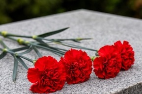 В ходе СВО погибли восемь жителей региона, трое из них из Энгельсского района