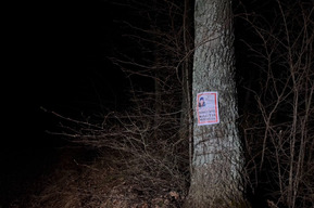 «Территория поиска расширяется»: волонтёры просят помощи в поиске пенсионера, которого ищут уже несколько дней