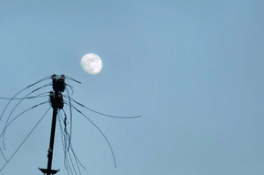 Дождь с грозой, от 0 до +19 градусов и сильный ветер: в Саратовской области ожидается непогода