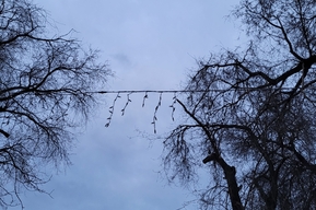 В Саратовской области температура опустится до +1