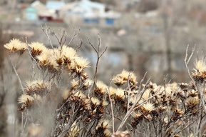 Рабочая неделя перед Пасхой в регионе будет дождливой и ветреной