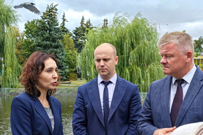 В мэрии Саратова понизили замглавы, отвечавшую за озеленение и благоустройство