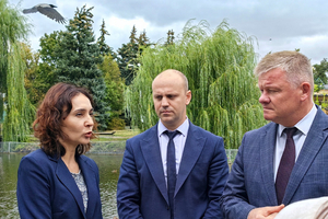 В мэрии Саратова понизили замглавы, отвечавшую за озеленение и благоустройство