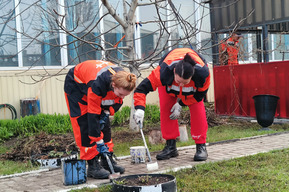 Энергетики присоединились к городским мероприятиям по благоустройству