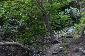 В особо охраняемой территории в Энгельсе нашли несанкционированную свалку