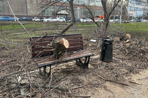 «Что у наших чиновников за страсть к уничтожению?»: в сквере на Астраханской спилили деревья, ветки и стволы бросили на пешеходную дорожку