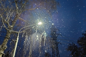 Дождь со снегом, сильный ветер и 0 градусов: в Саратовской области ожидается очень плохая погода