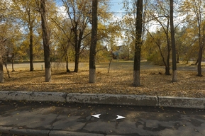 Зеленую зону рядом с энгельсским пляжем заасфальтируют под парковку