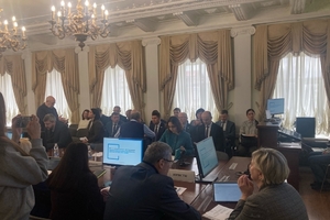 Чиновница мэрии признала, что озеленение в Саратове осуществлялось «хаотично» и «спонтанно»