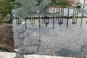 «Куда смотрит мэрия?»: в Детском парке кипяток вновь затапливает газон