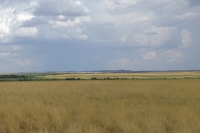 Кварцитовые орудия и окатанная галька: в Саратовской области появились два археологических памятника федерального значения