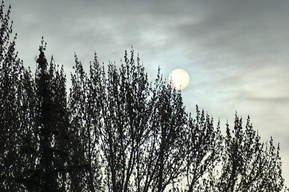 Жителей Саратовской области ждут дождливые выходные и похолодание