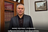Володин упрекнул саратовские власти в недостатке внимания к закрытым птицефабрикам и созданию рабочих мест