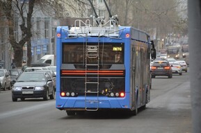 Из-за опиловки деревьев в городе остановилось движение четырёх троллейбусных маршрутов