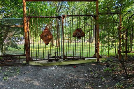 Губернатор Бусаргин о закрытии детских лагерей в Саратове: «Были случаи повреждения зданий в результате атак БПЛА на территории данных учреждений»