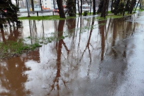 В Саратове после сильного дождя сквер на проспекте 50 лет Октября «превратился в стоячее болото»