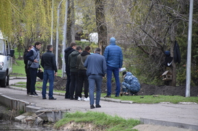 При прокладке коммуникаций в Горпарке Саратова откопали человеческий череп: на место прибыли полицейские, работы должны быть остановлены